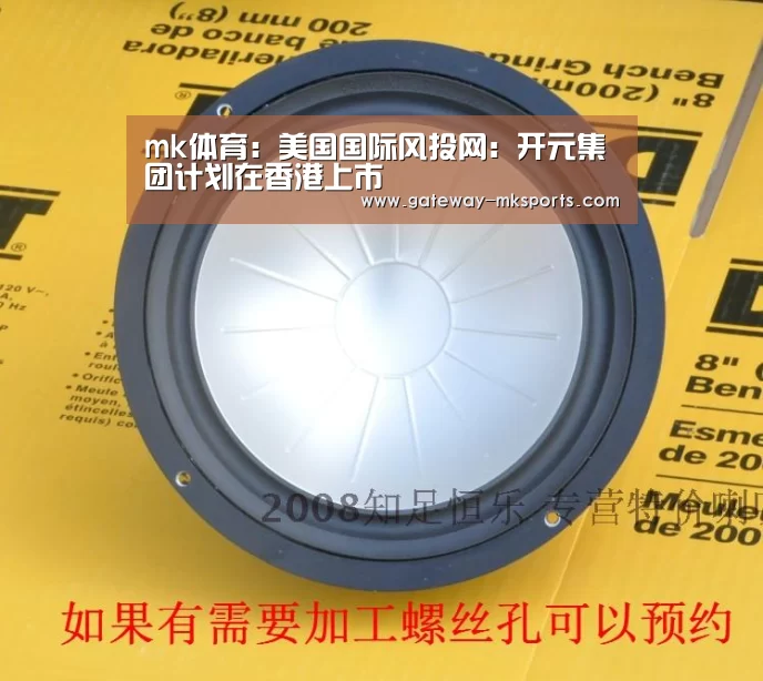 mk体育:美国国际风投网:开元集团计划在香港上市(图2) mk体育官方