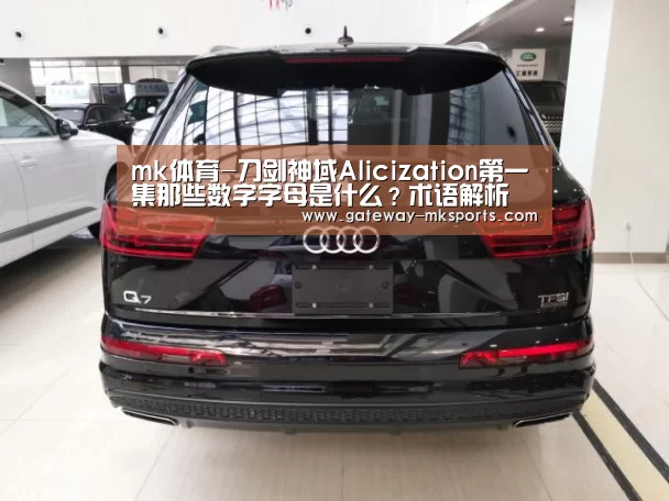 mk体育-刀剑神域Alicization第一集那些数字字母是什么?术语解析(图1) mk体育