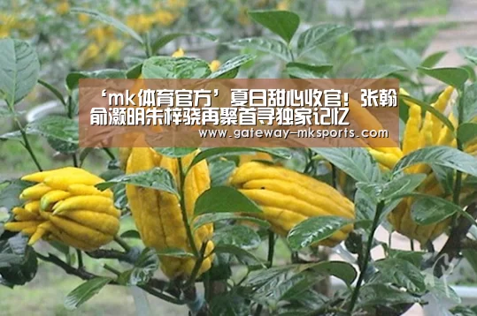 ‘mk体育官方’夏日甜心收官!张翰俞灏明朱梓骁再聚首寻独家记忆(图1) mk体育官方