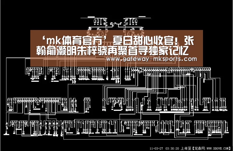 ‘mk体育官方’夏日甜心收官!张翰俞灏明朱梓骁再聚首寻独家记忆(图3) mk体育官方