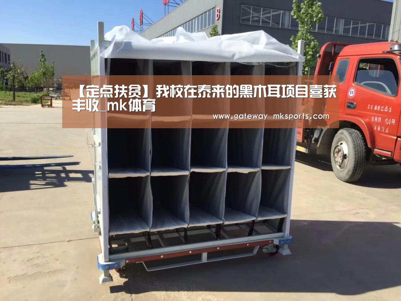 【定点扶贫】我校在泰来的黑木耳项目喜获丰收_mk体育(图1) mk体育官方